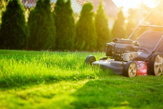 The Ultimate Guide to Year-Round Lawn Care