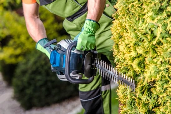 Common Gardening Mistakes (And How to Avoid Them)