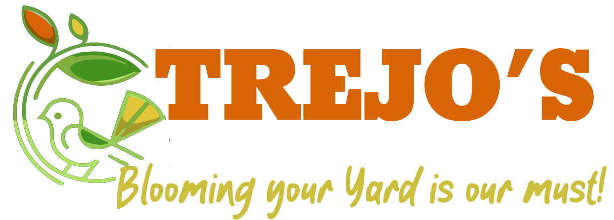 Trejos Landscaping & Construction